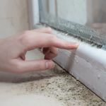 How to Seal Pest Entry at Foundation Corners: A Step-by-Step Guide