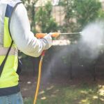 How to Prevent Pest Return During Rainy Periods