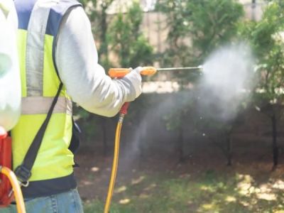 How to Prevent Pest Return During Rainy Periods