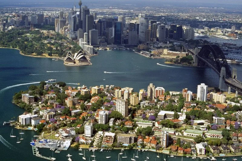 How Crowded Cities Affect Pest Populations