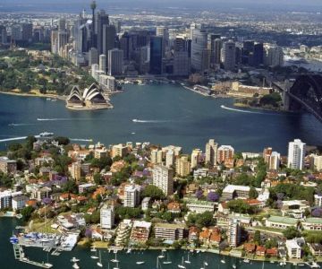 How Crowded Cities Affect Pest Populations