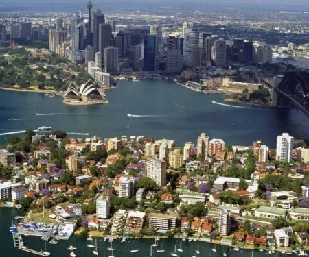 How Crowded Cities Affect Pest Populations