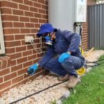 How to Prevent Pest Pressure in New Developments