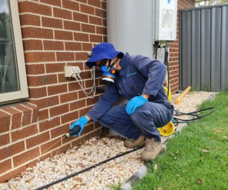 How to Prevent Pest Pressure in New Developments