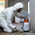 How to Control Pests During Remodeling Projects