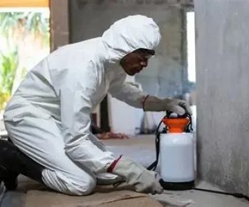 How to Control Pests During Remodeling Projects