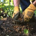 How to Control Termites in Hard-to-Reach Areas: Effective Solutions