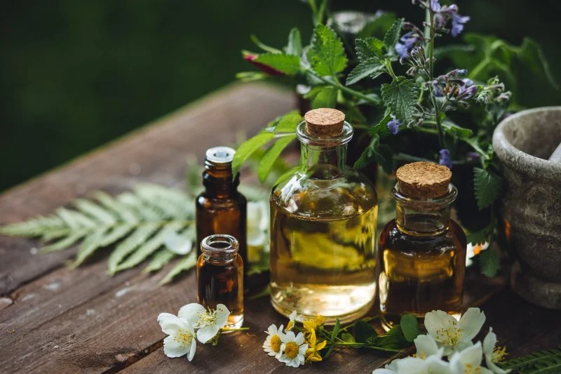 How to Use Natural Oils for Pest Prevention
