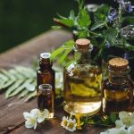 How to Use Natural Oils for Pest Prevention