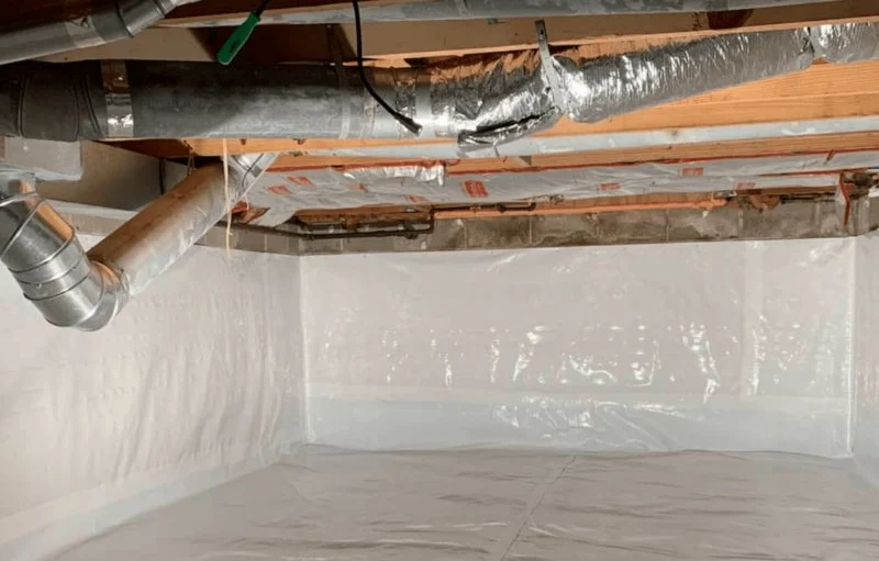 How to Keep Crawlspaces Dry and Pest-Free