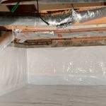 How to Keep Crawlspaces Dry and Pest-Free