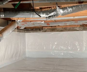 How to Keep Crawlspaces Dry and Pest-Free