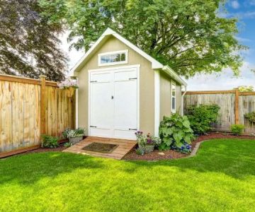 How to Prevent Pest Infestations in Sheds and Outbuildings