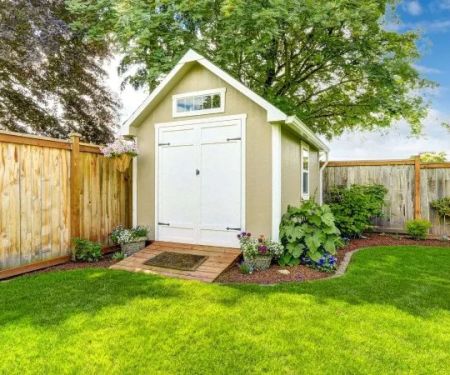 How to Prevent Pest Infestations in Sheds and Outbuildings