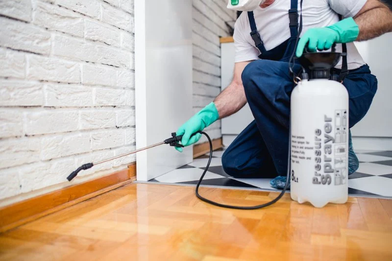 How to Deal With Pest Infestations in Vacant Homes: A Practical Guide