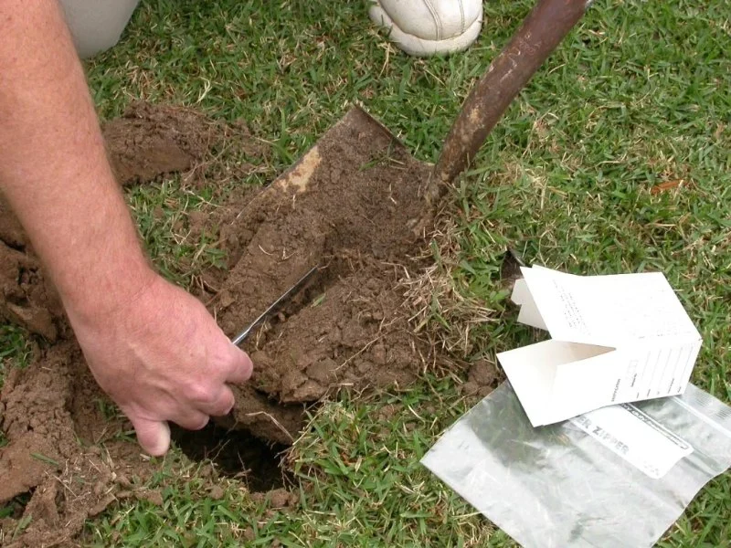 How to Test Soil Around the Home for Pest Activity