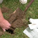 How to Test Soil Around the Home for Pest Activity