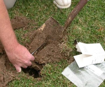 How to Test Soil Around the Home for Pest Activity