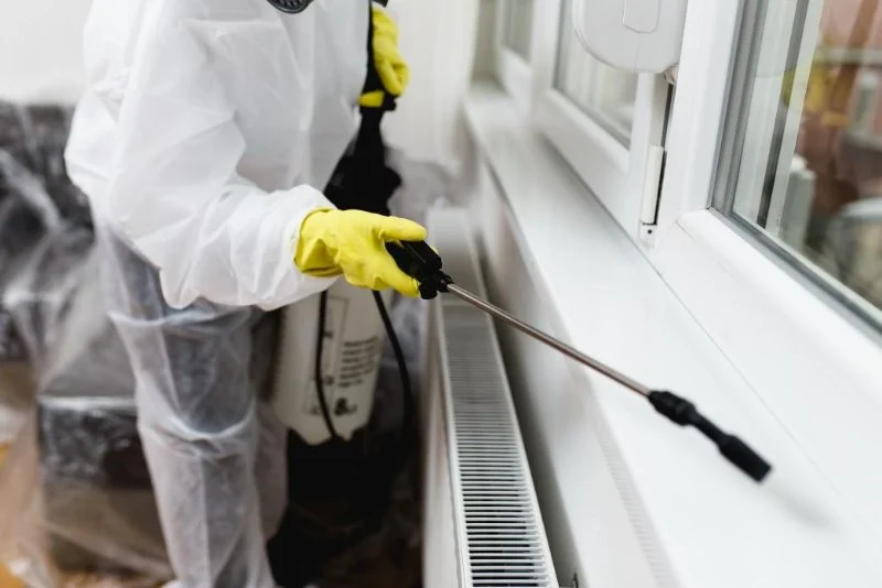 How to Evaluate Residual Pest Control Treatments: Key Considerations for Homeowners