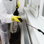 How to Evaluate Residual Pest Control Treatments: Key Considerations for Homeowners