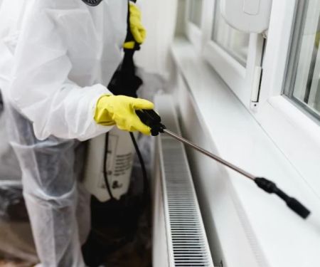 How to Evaluate Residual Pest Control Treatments: Key Considerations for Homeowners