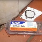 How to Use Low-Toxic Baits for Rodents