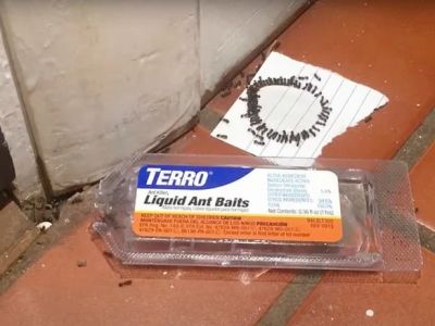 How to Use Low-Toxic Baits for Rodents