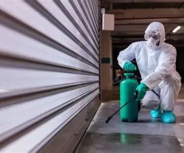 Best Practices for Keeping Pests Out of Storage and Garages