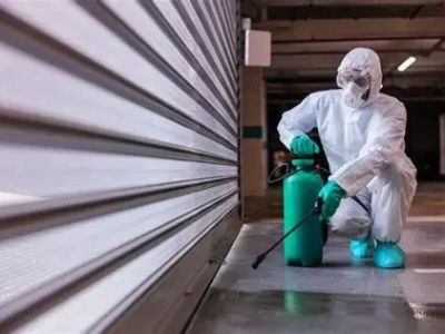 Best Practices for Keeping Pests Out of Storage and Garages
