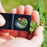 How to Monitor Pest Activity Between Treatments