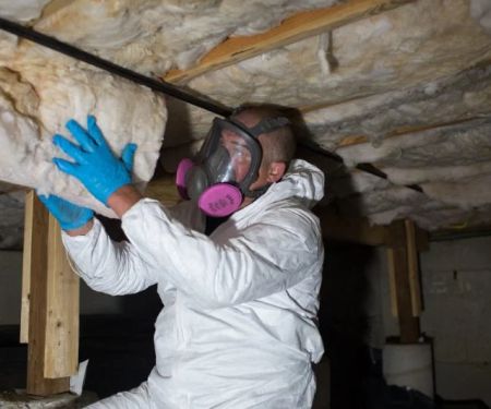 How to Control Pests in Crawl Spaces