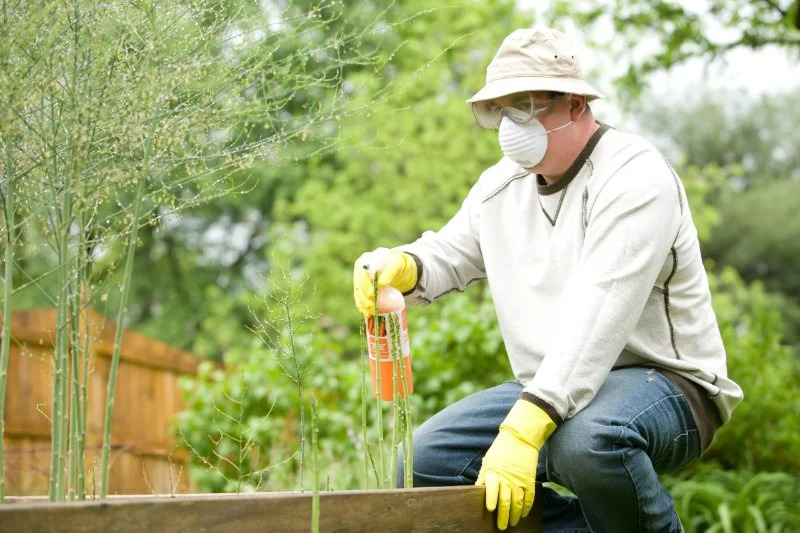 How to Use Preventative Barriers Early for Effective Pest Control