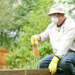 How to Use Preventative Barriers Early for Effective Pest Control