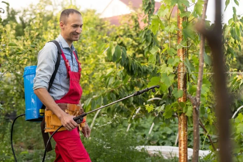 How to Evaluate Pest Control Warranty Offers: Complete Guide
