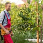How to Evaluate Pest Control Warranty Offers: Complete Guide