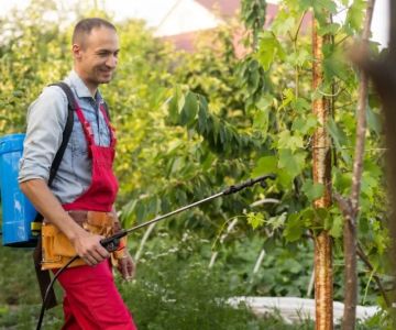 How to Evaluate Pest Control Warranty Offers: Complete Guide