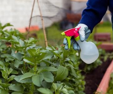 How to Control Pests in Greenhouses and Gardens Effectively