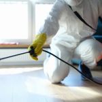 How to Prepare Guests’ Homes for Pest Prevention: Expert Tips and Strategies