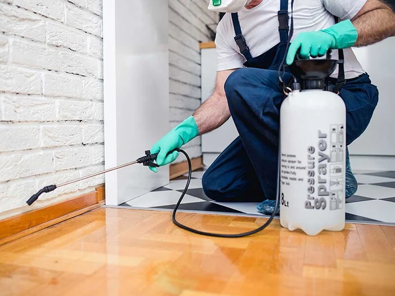 How to Use Barrier Treatments in Floor Joints for Effective Pest Control