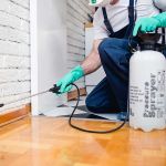 How to Use Barrier Treatments in Floor Joints for Effective Pest Control