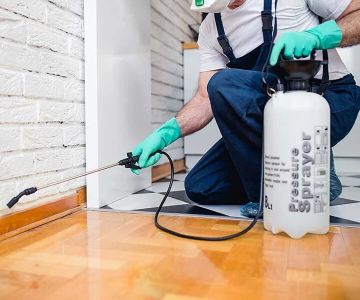 How to Use Barrier Treatments in Floor Joints for Effective Pest Control