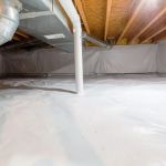 How to Keep Crawlspaces Dry and Pest-Resistant for a Healthy Home