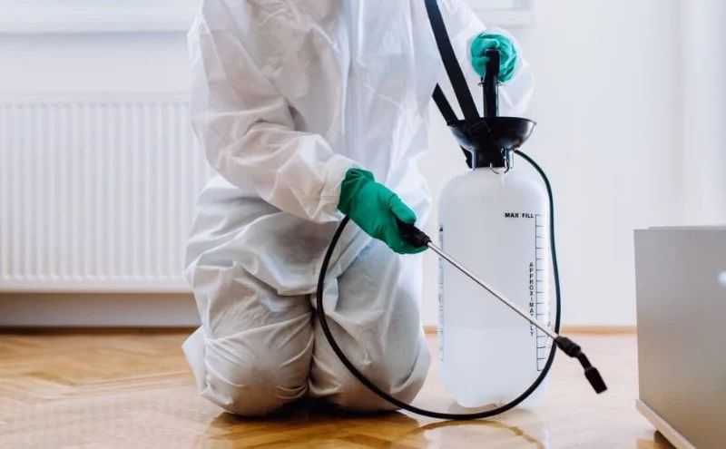 How to Monitor Pest Return After Treatment for Long-Term Control