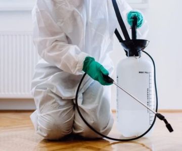 How to Monitor Pest Return After Treatment for Long-Term Control