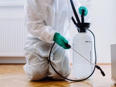 How to Monitor Pest Return After Treatment for Long-Term Control