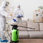 How Pest Control Differs in Humid vs Dry Climates for Effective Home Protection