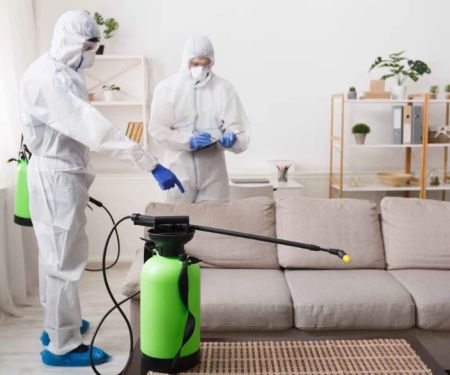 How Pest Control Differs in Humid vs Dry Climates for Effective Home Protection