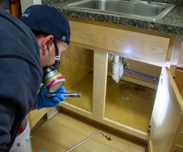 How to Keep Cockroaches Out of Your Kitchen | PestControlHub