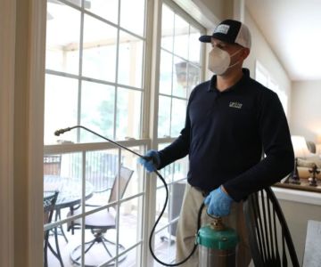 How Often Should You Schedule Pest Control Services for a Healthy Home