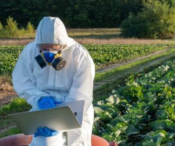 How Pest Control Practices Vary State to State